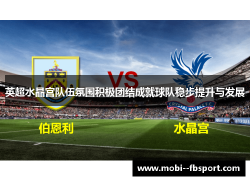英超水晶宫队伍氛围积极团结成就球队稳步提升与发展