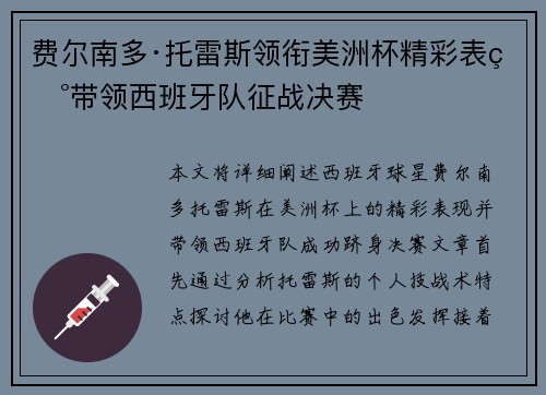 费尔南多·托雷斯领衔美洲杯精彩表现带领西班牙队征战决赛