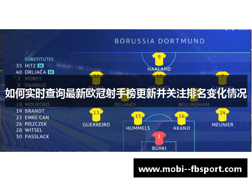 如何实时查询最新欧冠射手榜更新并关注排名变化情况