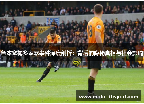 鲁本塞梅多家暴事件深度剖析：背后的隐秘真相与社会影响