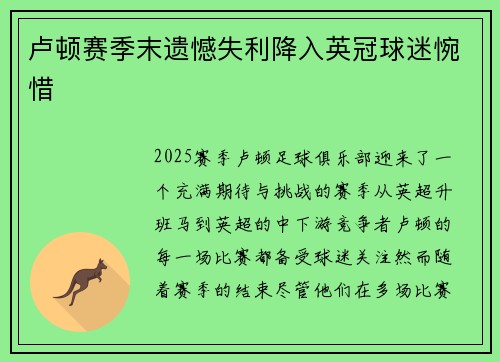 卢顿赛季末遗憾失利降入英冠球迷惋惜