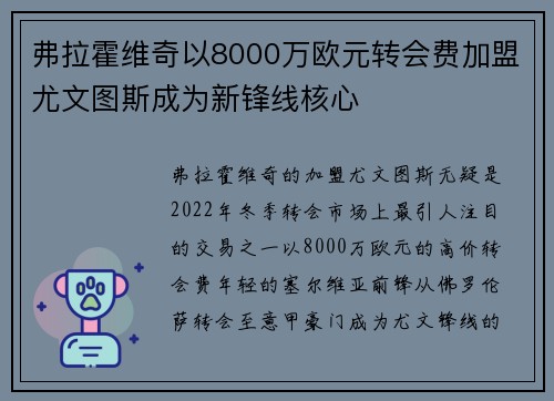 弗拉霍维奇以8000万欧元转会费加盟尤文图斯成为新锋线核心